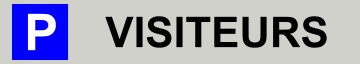 Budget Parkplatzschild VISITEURS