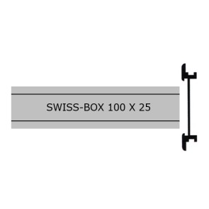 SWISS-BOX Aufnahme